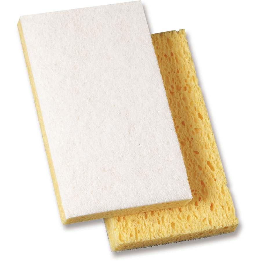 Light-Duty Sponge Scrubber