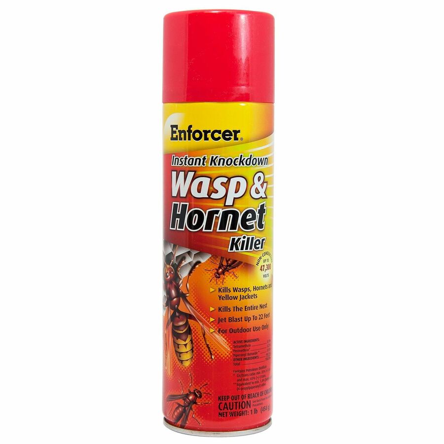 Instant Knockdown Wasp/Hornet Spray
